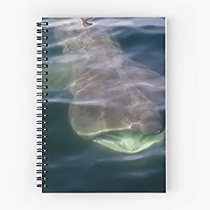 Week Islands Predator Shark Channel Basking Cute School Five Star Spiral Notebook With Durable Print