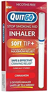 Quit Smoking Aid Oxygen Inhaler + Soft Tip Chewable Filter to Help Curb Cravings, Nicotine Free Non-Addictive Stop Smoking Support & Oral Fixation Relief (1 Pack, Cinnamon)