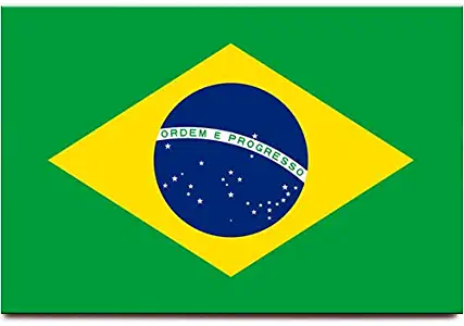 Brazil flag fridge magnet Sao Paulo Rio de Janeiro travel souvenir