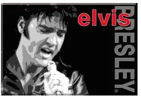 Elvis Presley Refrigerator Magnet