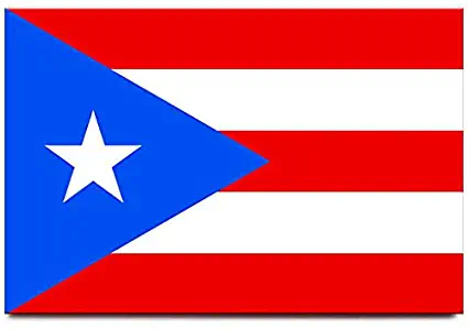 Puerto Rico flag fridge magnet San Juan travel souvenir