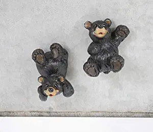Playful Bear Midnight Black 2 x 2 Resin Stone Refrigerator Magnets Set of 2