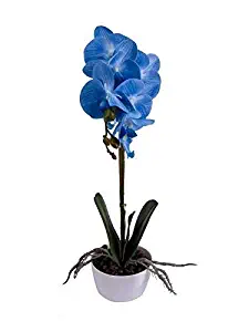 IMIEE Phaleanopsis Arrangement with Vase Decorative Artificial Orchid Flower Bonsai (Blue)