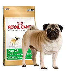 Royal Canin Pug Complete Adult Dry Dog Food 1.5KG