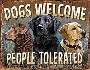 Desperate Enterprises Dogs Welcome Tin Sign, 16" W x 12.5" H