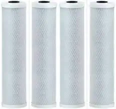 The Stainless Steel Countertop Compatible Water Purifier Filters (Compatible 10 Micron Carbon Block Filters) by CFS