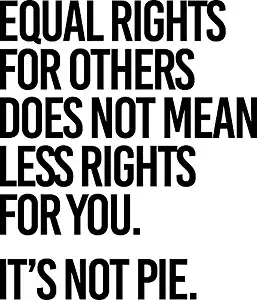 MAGNET Equal Rights For Others Does Not Mean Less Rights For You. It'S Not Pie. Magnet Decal Fridge Metal Magnet Window Vinyl 5"