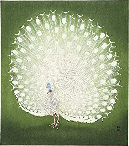 Peacock - 1930's - Japanese Art - Bird Illustration Magnet