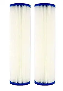 IPW Industries Inc Watts Pack of 2 Filter (WPC0.35-975) 9.75"X2.75" 0.35 Micron Pleated Sediment Filters