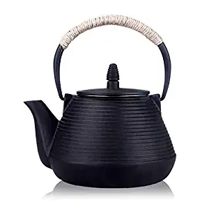 TOWA Workshop Japanese Tetsubin Tea Kettle Cast Iron Teapot with Stainless Steel Infuser (900ml)