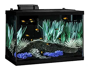 Tetra 20 Gallon Complete Aquarium Kit w/ filter heater LED & plants