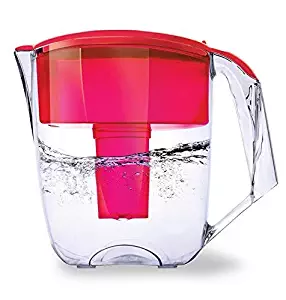 Ecosoft Water Filter Pitcher Jug - BPA-Free - Commercial Grade Ecomix Filter Cleaners with 2 Free Cartridges, for Home & Office Filtration, Red