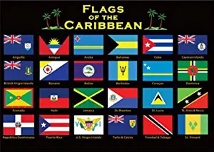 Caribbean Flags Fridge Collector's Souvenir Magnet 2.5" X 3.5"