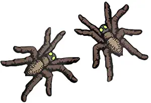 Eek a Spider! Pack of 2 6" Car Auto Magnet Bumper Sticker Halloween Decoration