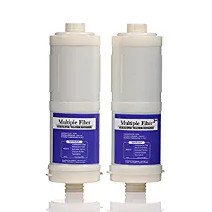 Prime Gold and BTM-700 BIONTECH Ionizer Filters