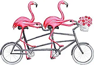MAGNET Pink Flamingos on Tandem Bicycle Magnetic Car Sticker Decal Refrigerator Metal Magnet Vinyl 5"