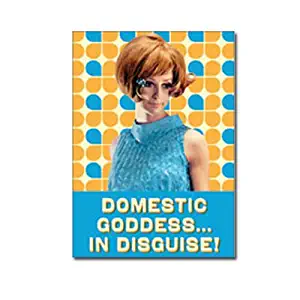 Hmb Domestic Goddess In Disguise Fridge Magnet