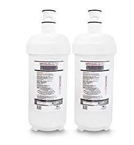 American Filter Company (TM Brand Water Filters (Comparable with Insinkerator (R) F601 F-601 F601R Insinkerator (R) Series 2200 Water Filters) (2)