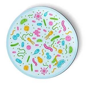 AK Wall Art Bacteria Germs Biology Science - Magnet - Car Fridge Locker - Select Size