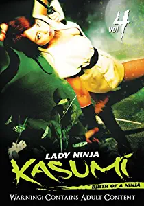 Lady Ninja Kasumi: Birth Of A Ninja Volume 4