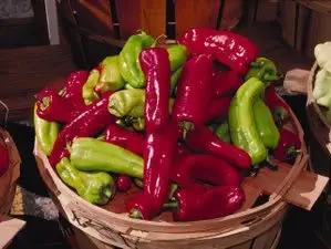 75 CUBANELLE PEPPER (Italian Sweets / Banana Pepper / Italian Frying Pepper) Capsicum Annuum Vegetable Seeds