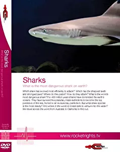 Sharks - Human & Biological Science - What is the most dangerous shark on earth?