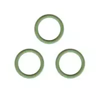 Rowenta CS-00098730-3PK Cap Gasket, 3 per pack