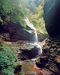 Watkins Glen New York Waterfall Nature Woods Scenery Wall Decor Art Print Poster (16x20)